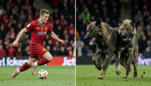Liverpool – Wolves Match Preview, Stats, and Prediction 2026